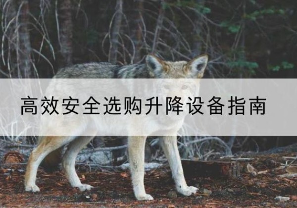 临汾升降货梯厂家推荐-*安全选购升降设备指南