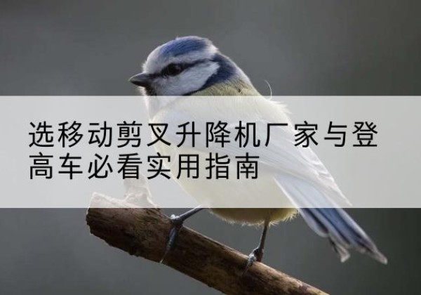 临汾电动升降机厂家-选移动剪叉升降机厂家与登高车必看实用指南